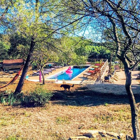 Arche De Noe Atypique, Boheme , Nature, Piscine Chauffee De Paques A Toussaint , Spa , Sauna , Loisirs Ле-Боссе Екстер'єр фото