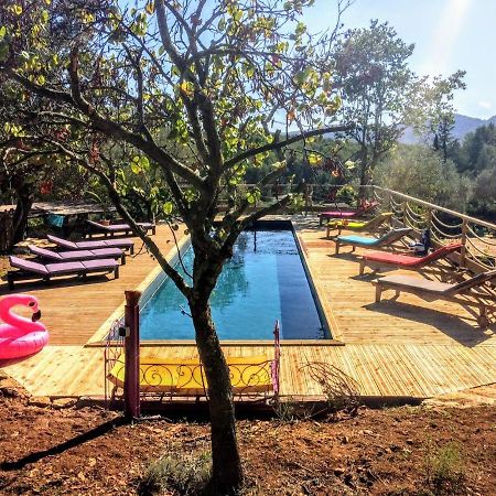 Arche De Noe Atypique, Boheme , Nature, Piscine Chauffee De Paques A Toussaint , Spa , Sauna , Loisirs Ле-Боссе Екстер'єр фото